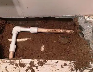 镇巴测漏水哪家好