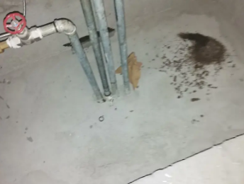 镇巴卫生间测漏水价格明细