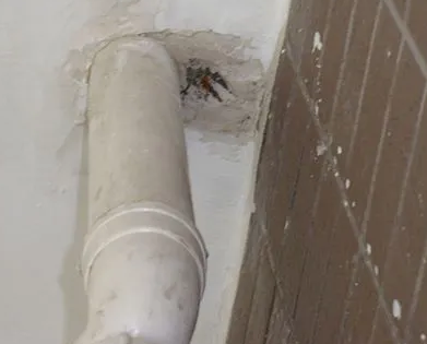 镇巴漏水检测哪家好